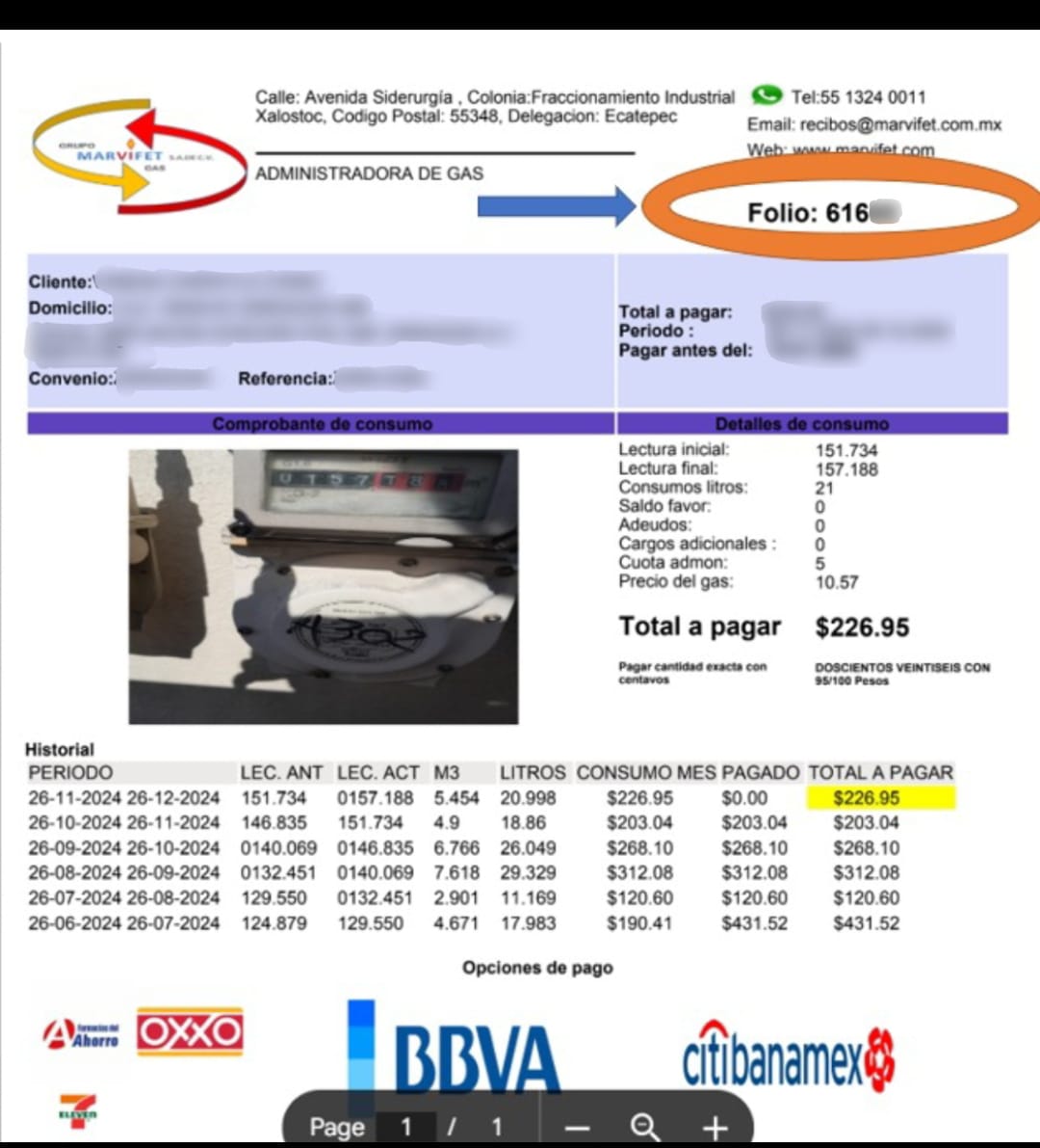 Ejemplo de Recibo de Gas